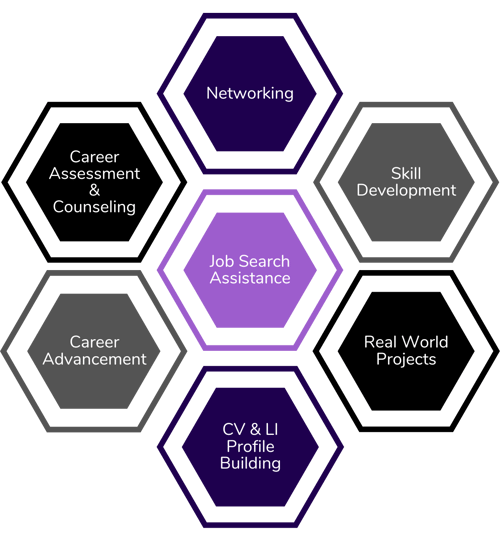 Comprehensive Career Support Hexagon Process Diagram