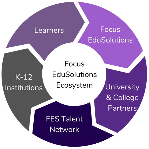 FES Workforce Ecosystem (1)