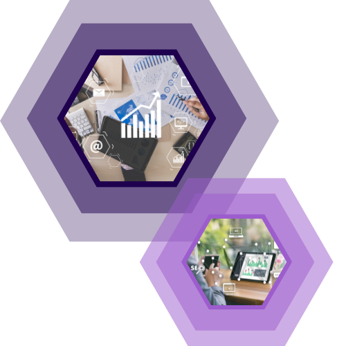 Purple Hexagon Modern Company Profile Presentation